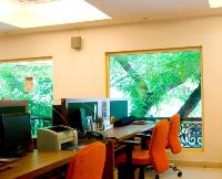 big picture windows bring the greenery of the tree outside into the work space.